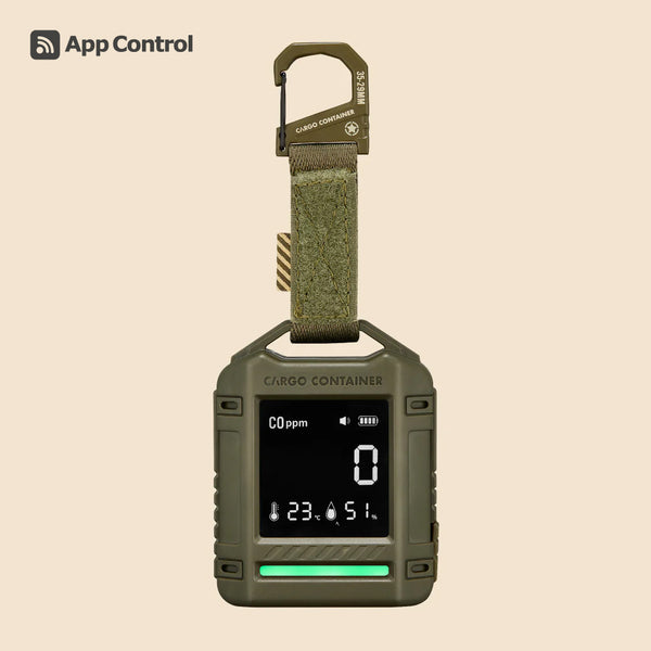 SAFE CO DETECTOR