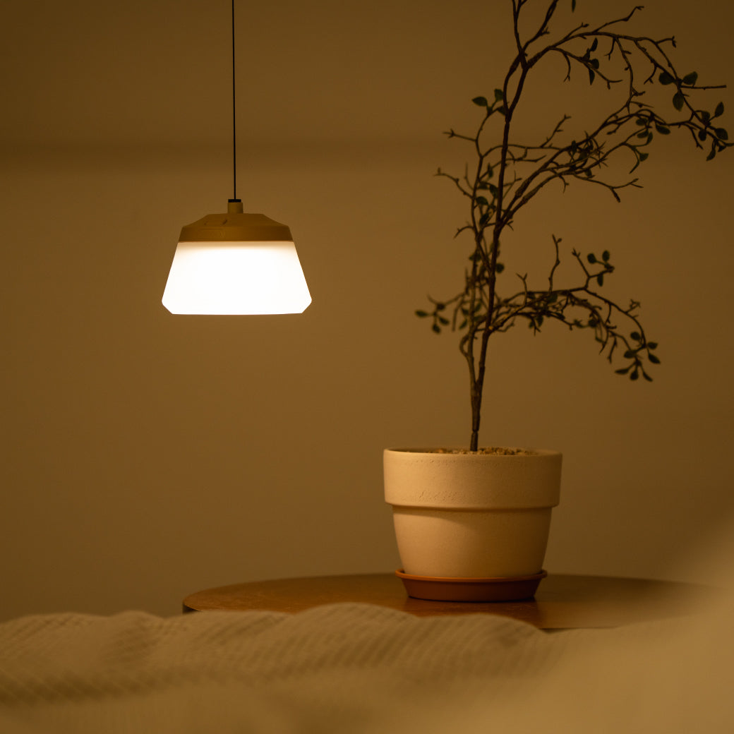 REEL LIGHT MINI