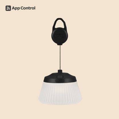 REEL LIGHT PRO