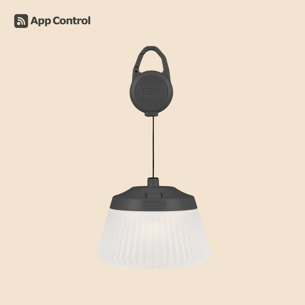 REEL LIGHT PRO