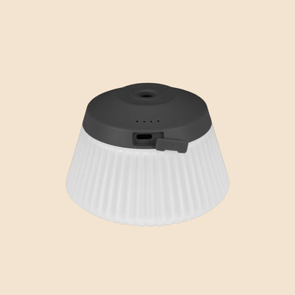 REEL LIGHT PRO