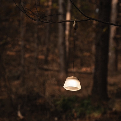 REEL LIGHT PRO
