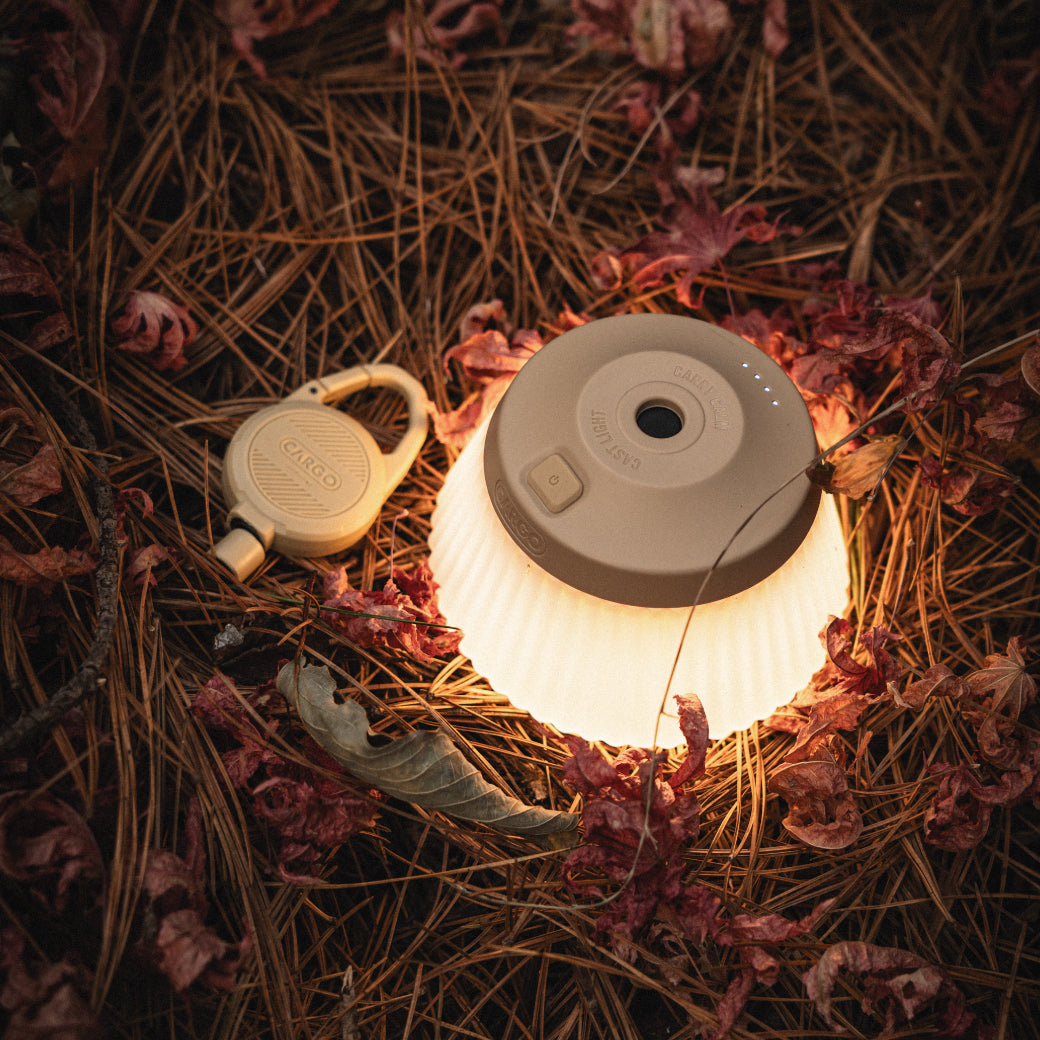 REEL LIGHT PRO