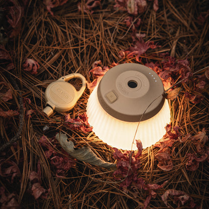 REEL LIGHT PRO