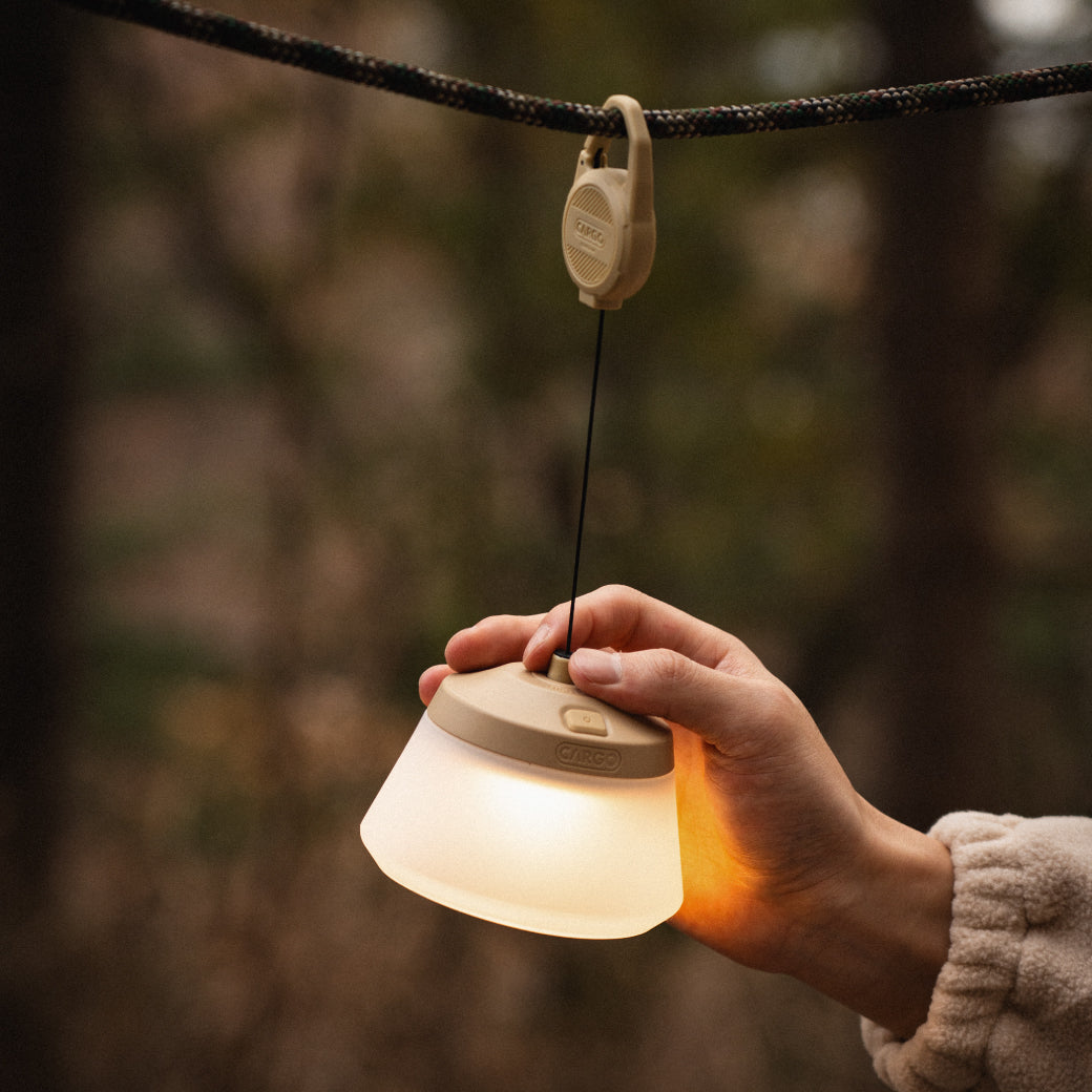 REEL LIGHT PRO