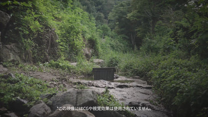 SIGNATURE SHIELD BOX（12月末配送予定）